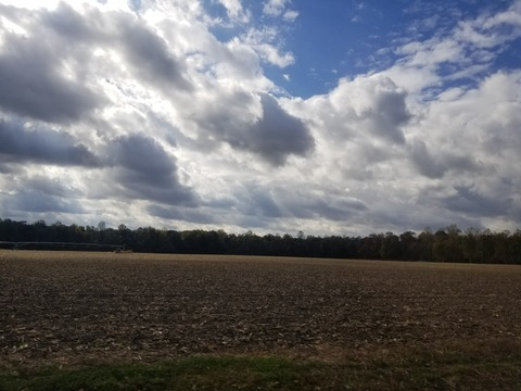 fmubuln OnlyFans - Free Access to 32 Videos & 55 Photos Onlyfans Free Access