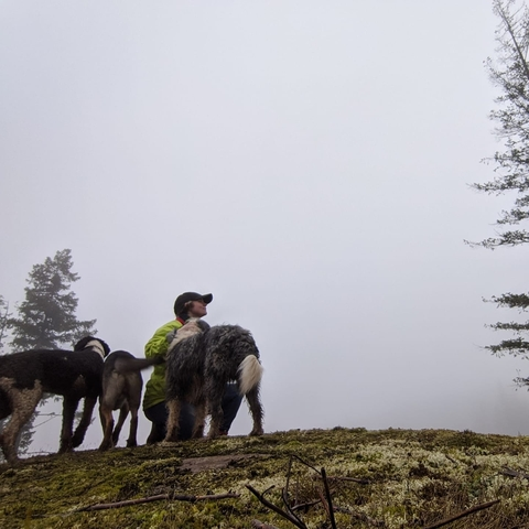 forestnymph OnlyFans - Free Access to 32 Videos & 49 Photos Onlyfans Free Access