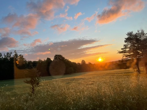 foxxymarie23 OnlyFans - Free Access to 32 Videos & 68 Photos Onlyfans Free Access