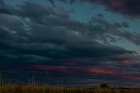 frankie_myer OnlyFans - Free Access to 32 Videos & 49 Photos Onlyfans Free Access