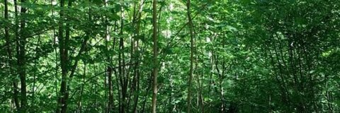 freiafrost OnlyFans - Free Access to 32 Videos & 49 Photos Onlyfans Free Access