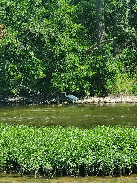 friendlyfisherman OnlyFans - Free Access to 32 Videos & 49 Photos Onlyfans Free Access