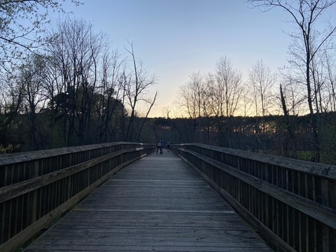 friidaaa OnlyFans - Free Access to 32 Videos & 49 Photos Onlyfans Free Access