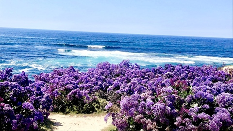 frisky94 OnlyFans - Free Access to 32 Videos & 49 Photos Onlyfans Free Access