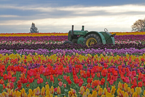 friskymellyb OnlyFans - Free Access to 84 Videos & 2307 Photos Onlyfans Free Access