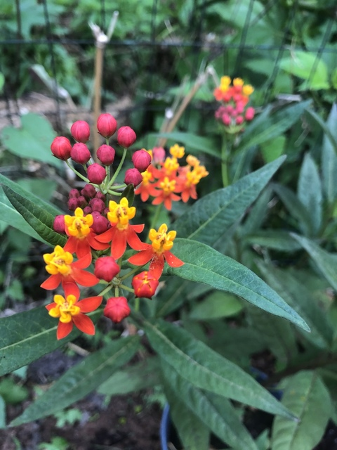 frtopcovermary OnlyFans - Free Access to 32 Videos & 50 Photos Onlyfans Free Access