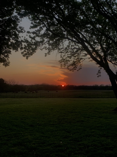 fuckyou_verymuch OnlyFans - Free Access to 32 Videos & 49 Photos Onlyfans Free Access