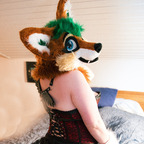 furry_foxxy avatar