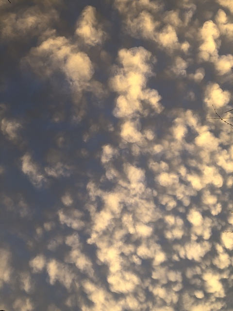 gatachula OnlyFans - Free Access to 32 Videos & 114 Photos Onlyfans Free Access