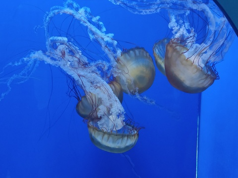 gaymerbroart OnlyFans - Free Access to 32 Videos & 49 Photos Onlyfans Free Access