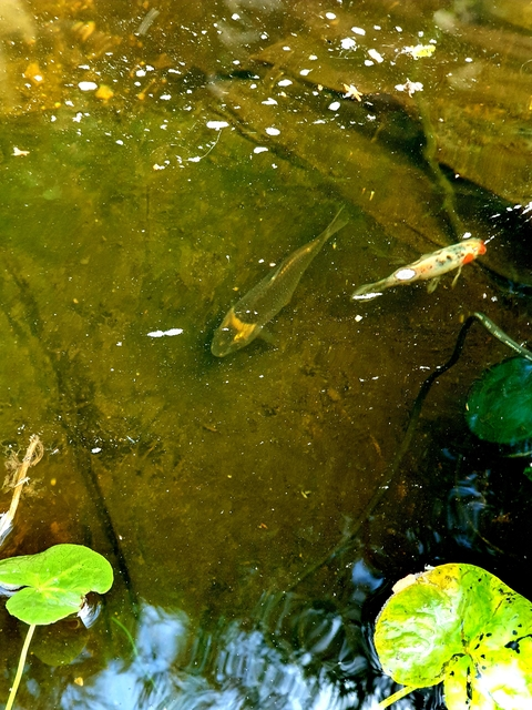 gazza4699 OnlyFans - Free Access to 32 Videos & 49 Photos Onlyfans Free Access