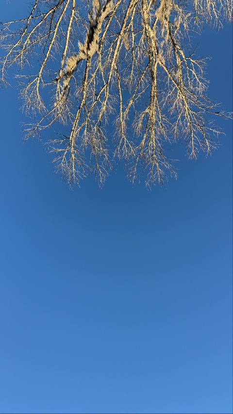 gcpxo OnlyFans - Free Access to 32 Videos & 49 Photos Onlyfans Free Access