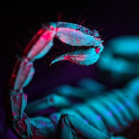 georgexxxx OnlyFans - Free Access to 32 Videos & 49 Photos Onlyfans Free Access