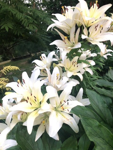 getmene OnlyFans - Free Access to 32 Videos & 49 Photos Onlyfans Free Access