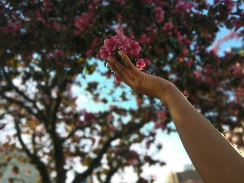 gigi_leigh OnlyFans - Free Access to 32 Videos & 49 Photos Onlyfans Free Access