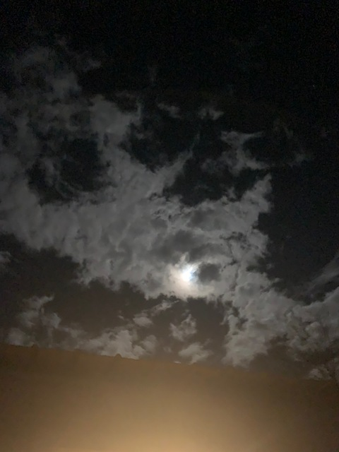 gingershitposts OnlyFans - Free Access to 32 Videos & 49 Photos Onlyfans Free Access