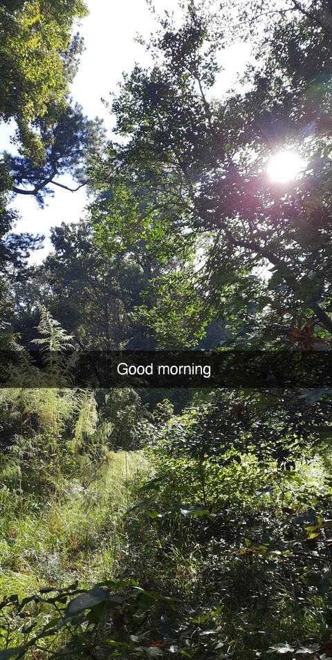 gingiebread OnlyFans - Free Access to 32 Videos & 49 Photos Onlyfans Free Access