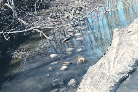 girlydeadhead OnlyFans - Free Access to 32 Videos & 159 Photos Onlyfans Free Access