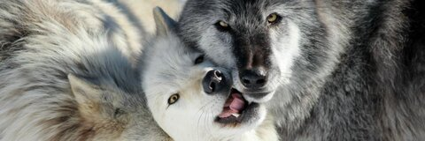 greenking92 OnlyFans - Free Access to 32 Videos & 49 Photos Onlyfans Free Access