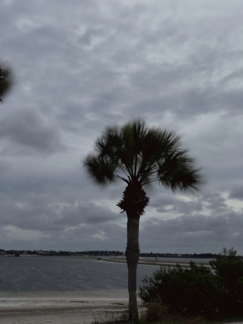 gym_daddy OnlyFans - Free Access to 32 Videos & 62 Photos Onlyfans Free Access