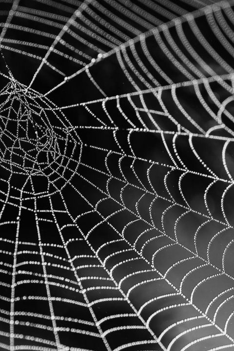 h311gurl2.0 OnlyFans - Free Access to 47 Videos & 109 Photos Onlyfans Free Access