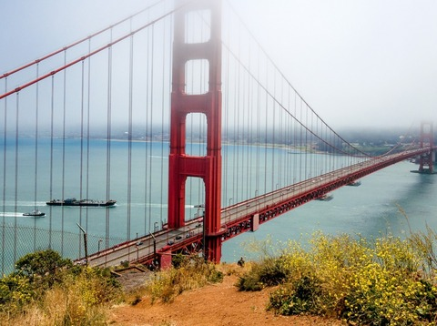 hairy_bear90 OnlyFans - Free Access to 32 Videos & 49 Photos Onlyfans Free Access