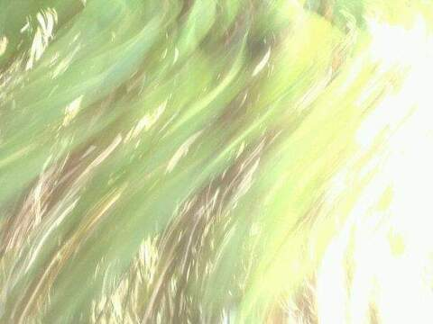 haley_starr OnlyFans - Free Access to 32 Videos & 49 Photos Onlyfans Free Access