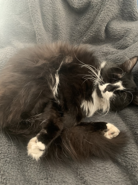 haleymacado OnlyFans - Free Access to 32 Videos & 49 Photos Onlyfans Free Access