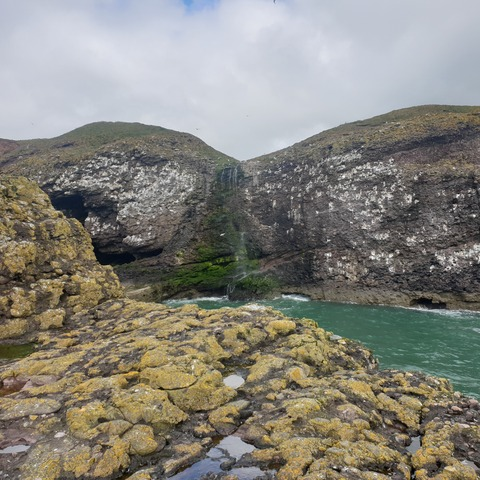 hamishgunn OnlyFans - Free Access to 32 Videos & 49 Photos Onlyfans Free Access