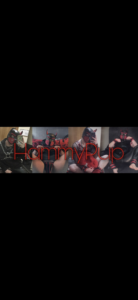 hammypup OnlyFans - Free Access to 58 Videos & 968 Photos Onlyfans Free Access