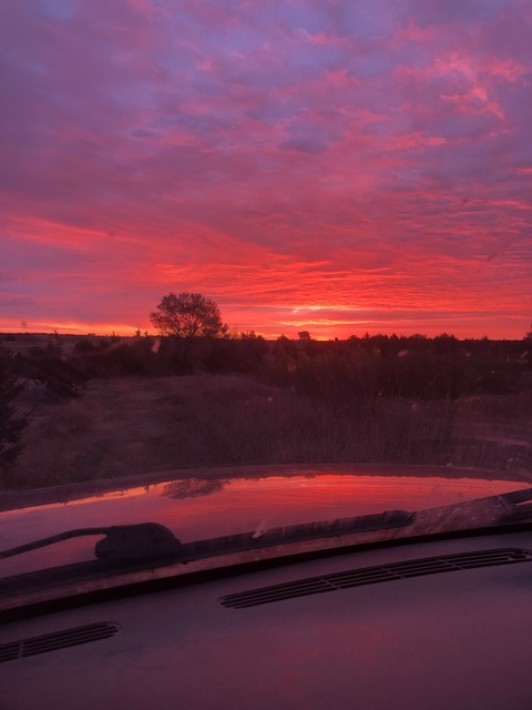 hannshan OnlyFans - Free Access to 32 Videos & 49 Photos Onlyfans Free Access