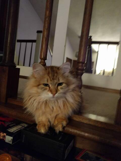 happybrainz OnlyFans - Free Access to 32 Videos & 70 Photos Onlyfans Free Access