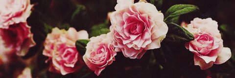 haydies OnlyFans - Free Access to 32 Videos & 49 Photos Onlyfans Free Access