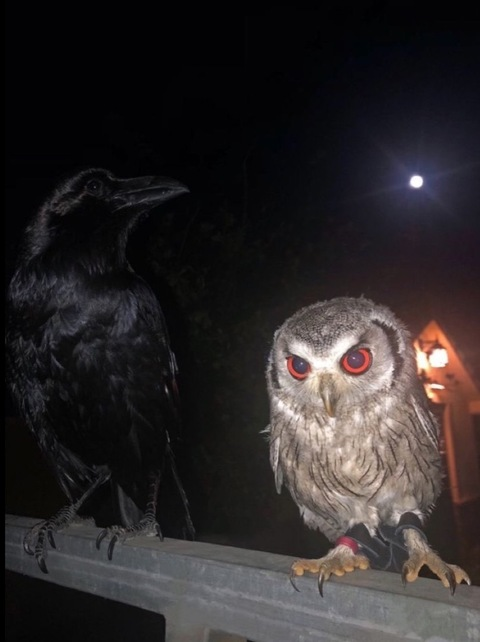 heartland OnlyFans - Free Access to 32 Videos & 49 Photos Onlyfans Free Access