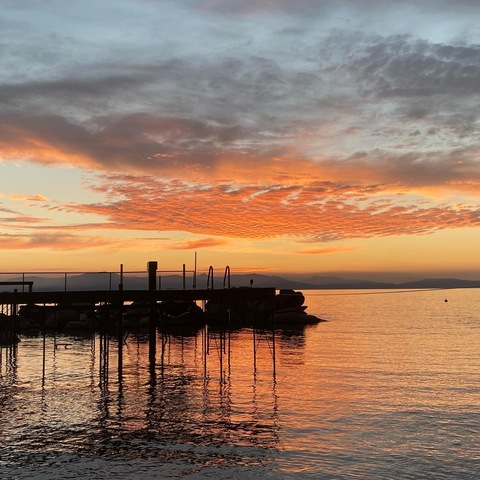 heckingjade OnlyFans - Free Access to 32 Videos & 54 Photos Onlyfans Free Access