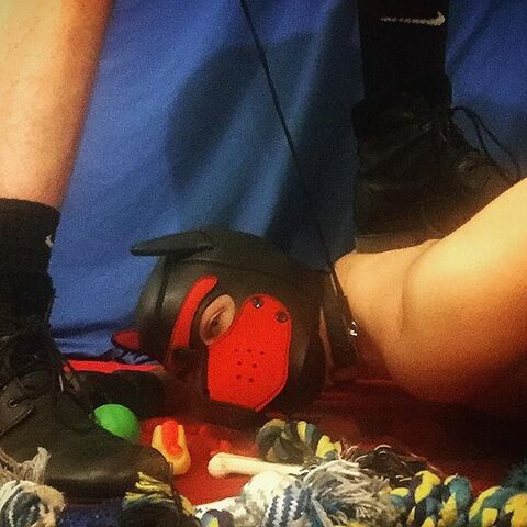 hellhoundpupper OnlyFans - Free Access to 32 Videos & 49 Photos Onlyfans Free Access