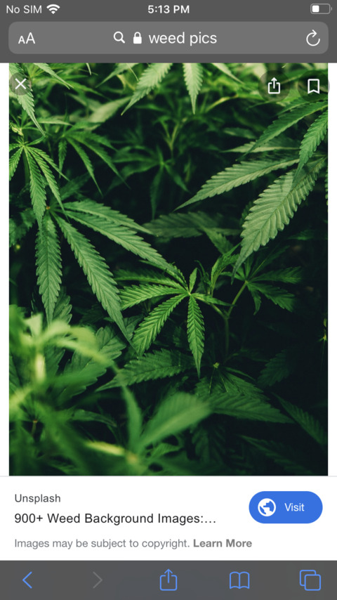 highonthis OnlyFans - Free Access to 32 Videos & 49 Photos Onlyfans Free Access