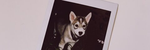 hiiijulia OnlyFans - Free Access to 32 Videos & 49 Photos Onlyfans Free Access