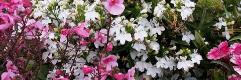 hodeia OnlyFans - Free Access to 32 Videos & 49 Photos Onlyfans Free Access