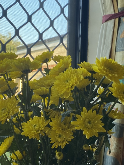 hoemieg OnlyFans - Free Access to 32 Videos & 49 Photos Onlyfans Free Access