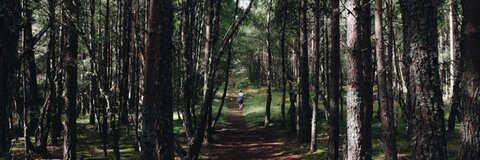 holl36c OnlyFans - Free Access to 32 Videos & 49 Photos Onlyfans Free Access