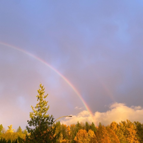 hollyxgale OnlyFans - Free Access to 32 Videos & 51 Photos Onlyfans Free Access