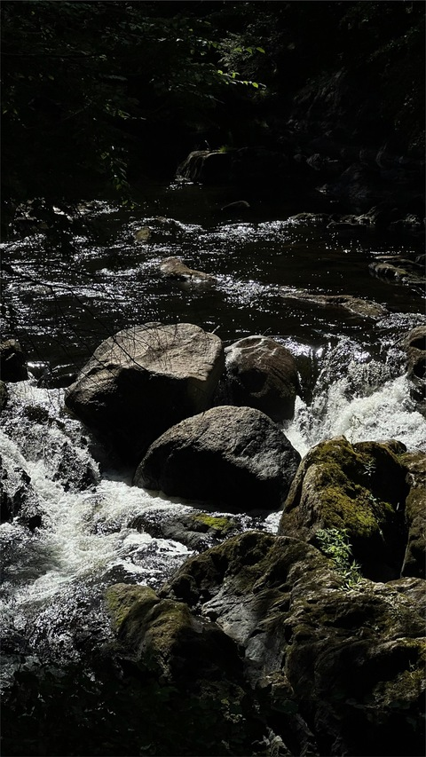 honeybee.kush OnlyFans - Free Access to 32 Videos & 62 Photos Onlyfans Free Access