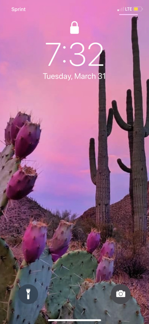 honeykisses9096 OnlyFans - Free Access to 32 Videos & 49 Photos Onlyfans Free Access