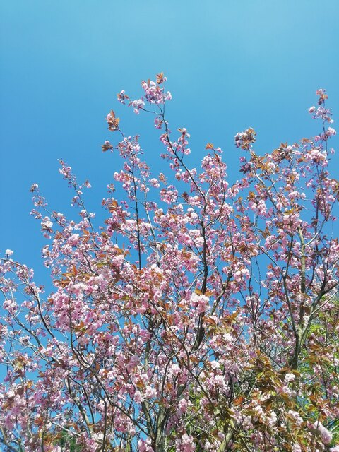 horny_student_love_money OnlyFans - Free Access to 32 Videos & 135 Photos Onlyfans Free Access