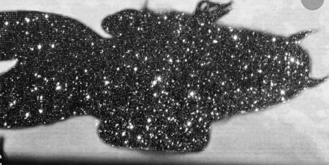 hotgirlrahh OnlyFans - Free Access to 32 Videos & 49 Photos Onlyfans Free Access