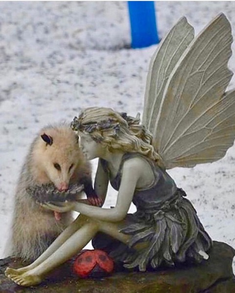 humanipellis OnlyFans - Free Access to 32 Videos & 49 Photos Onlyfans Free Access