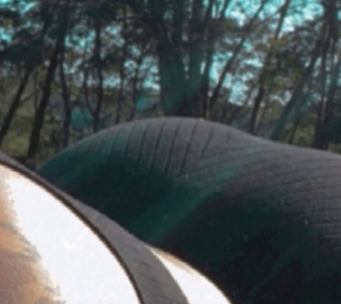 huniibee OnlyFans - Free Access to 32 Videos & 49 Photos Onlyfans Free Access