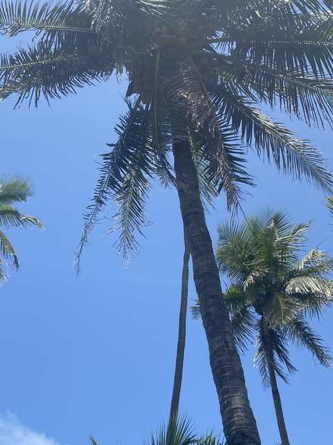 hunndohefner OnlyFans - Free Access to 38 Videos & 60 Photos Onlyfans Free Access