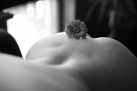 i_zombiecookie_i OnlyFans - Free Access to 32 Videos & 49 Photos Onlyfans Free Access